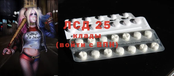 прущие грибы Арсеньев