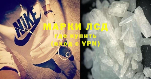 прущие грибы Арсеньев