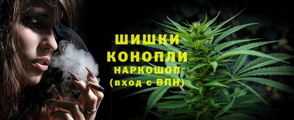 прущие грибы Арсеньев